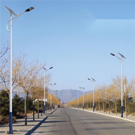 金豆海螺臂太阳能路灯